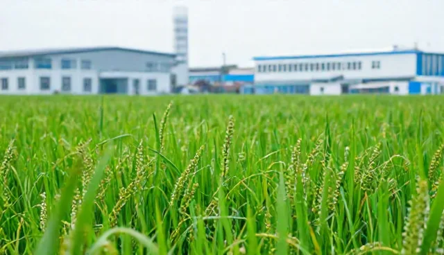 技术外包：如何有效进行成本控制